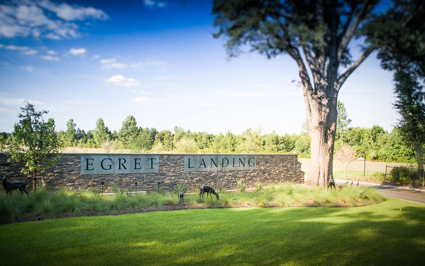 Photo of Egret Landing entryway signage